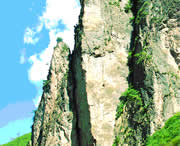漳县后天天气